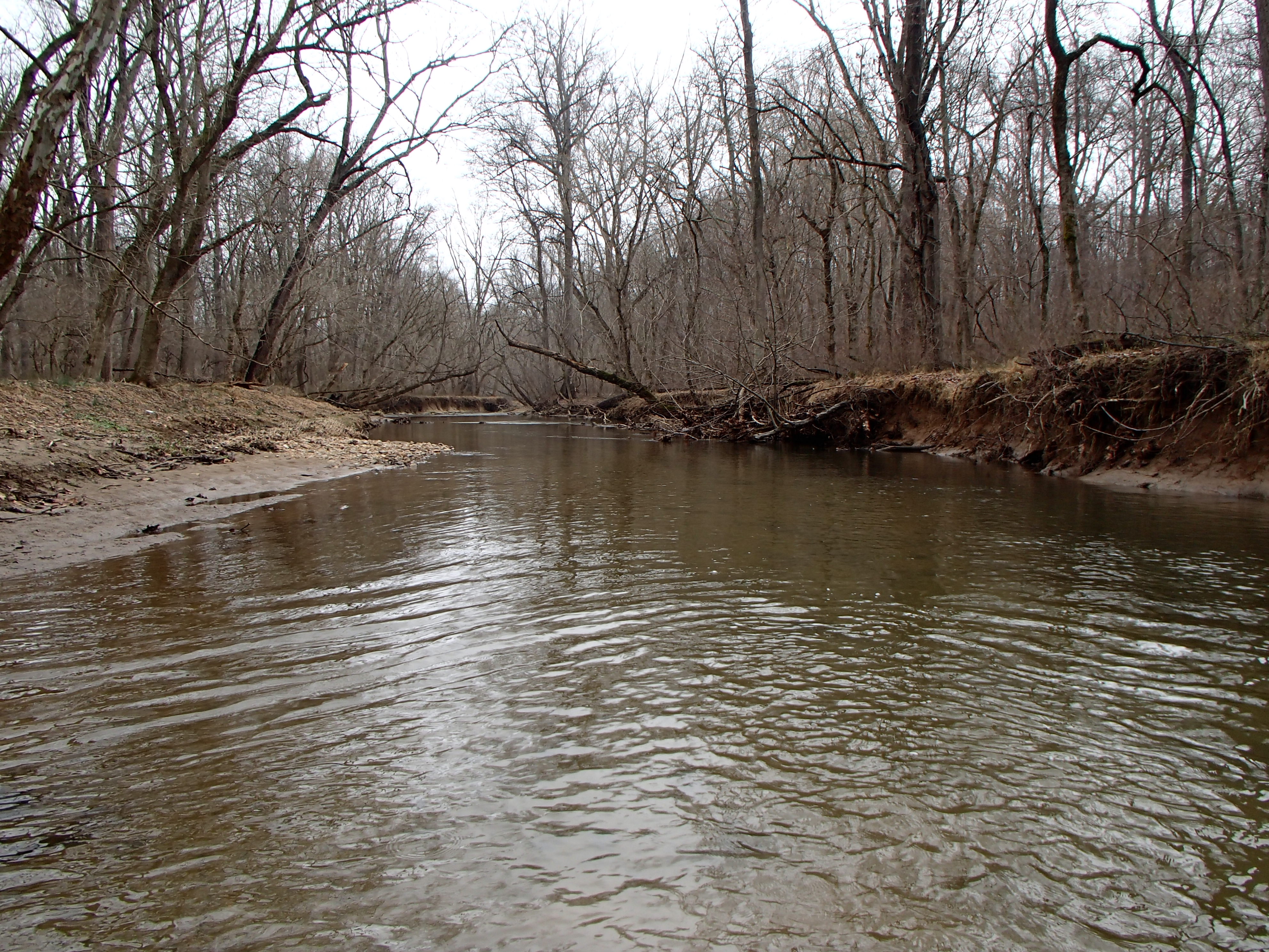 Field photo showing stream conditions at site MPAX-313-R-2016_Midpoint looking downstream